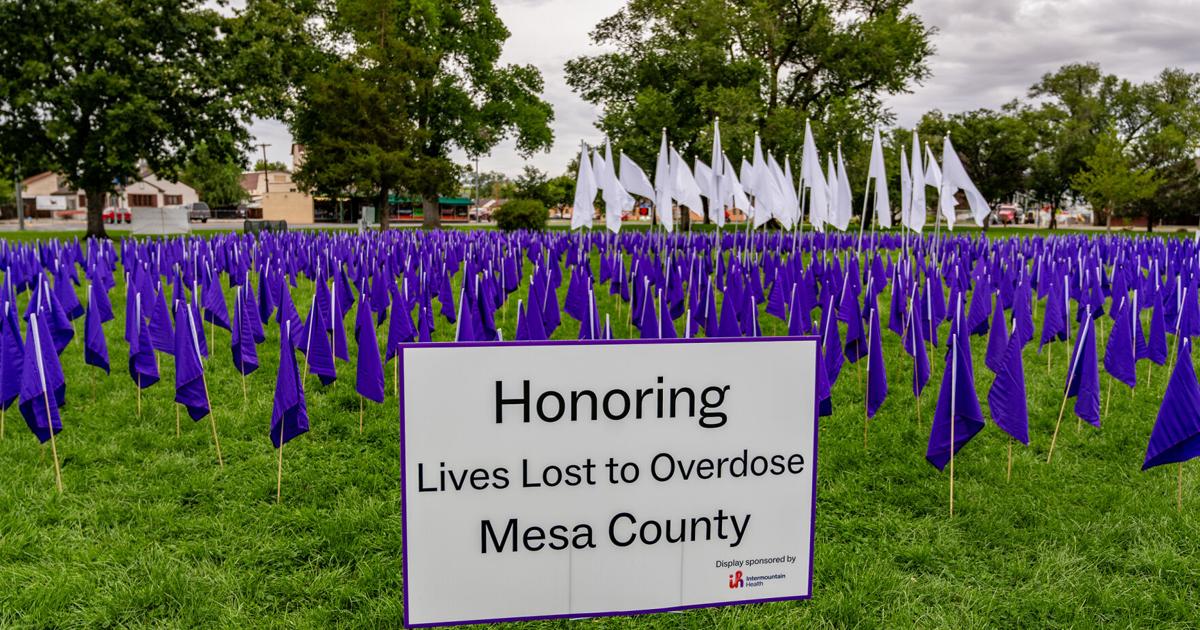 Overdose deaths drop, but work remains