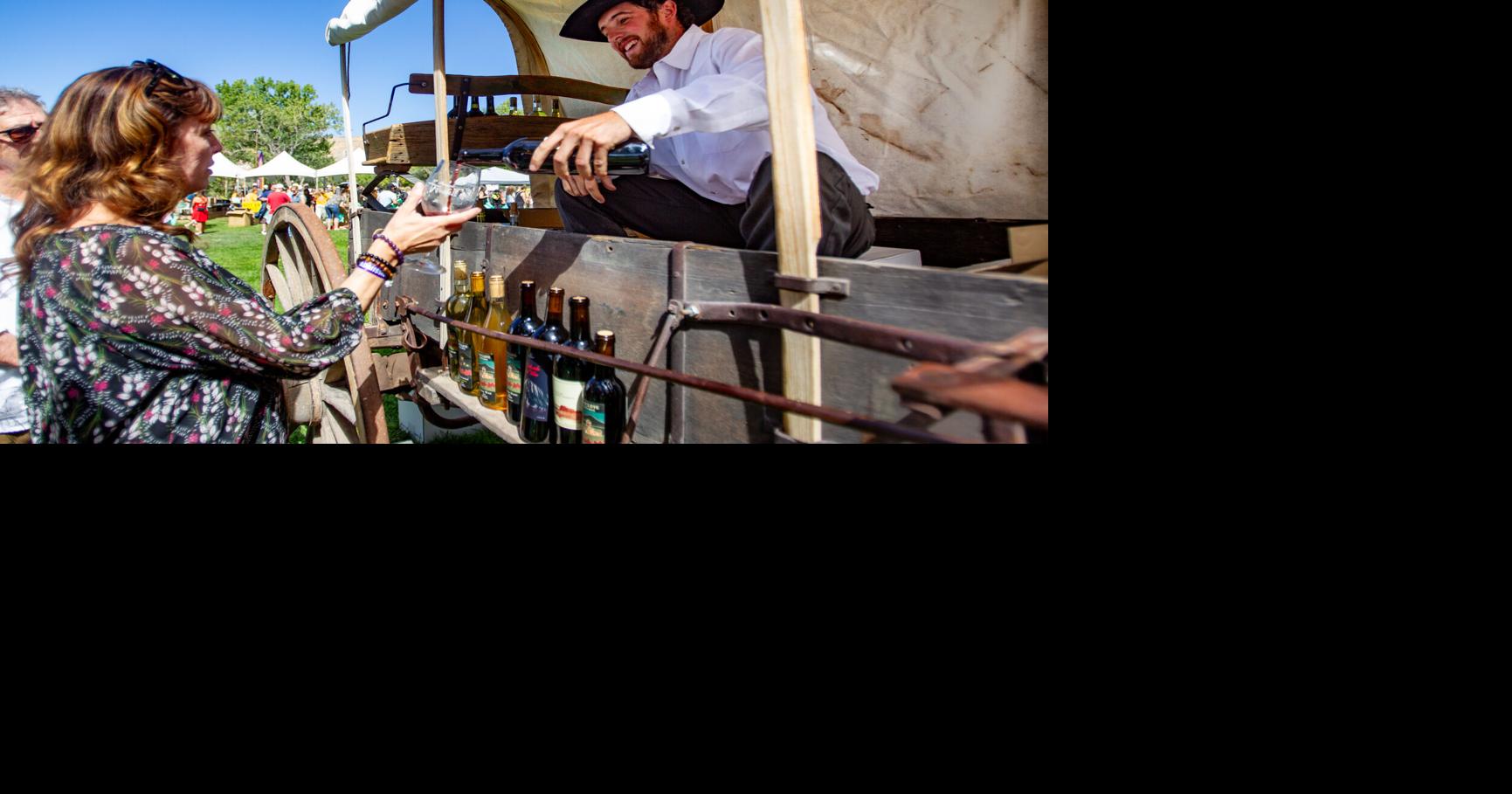 Alcohol Impact and Recovery Enterprises bill fails in House committee