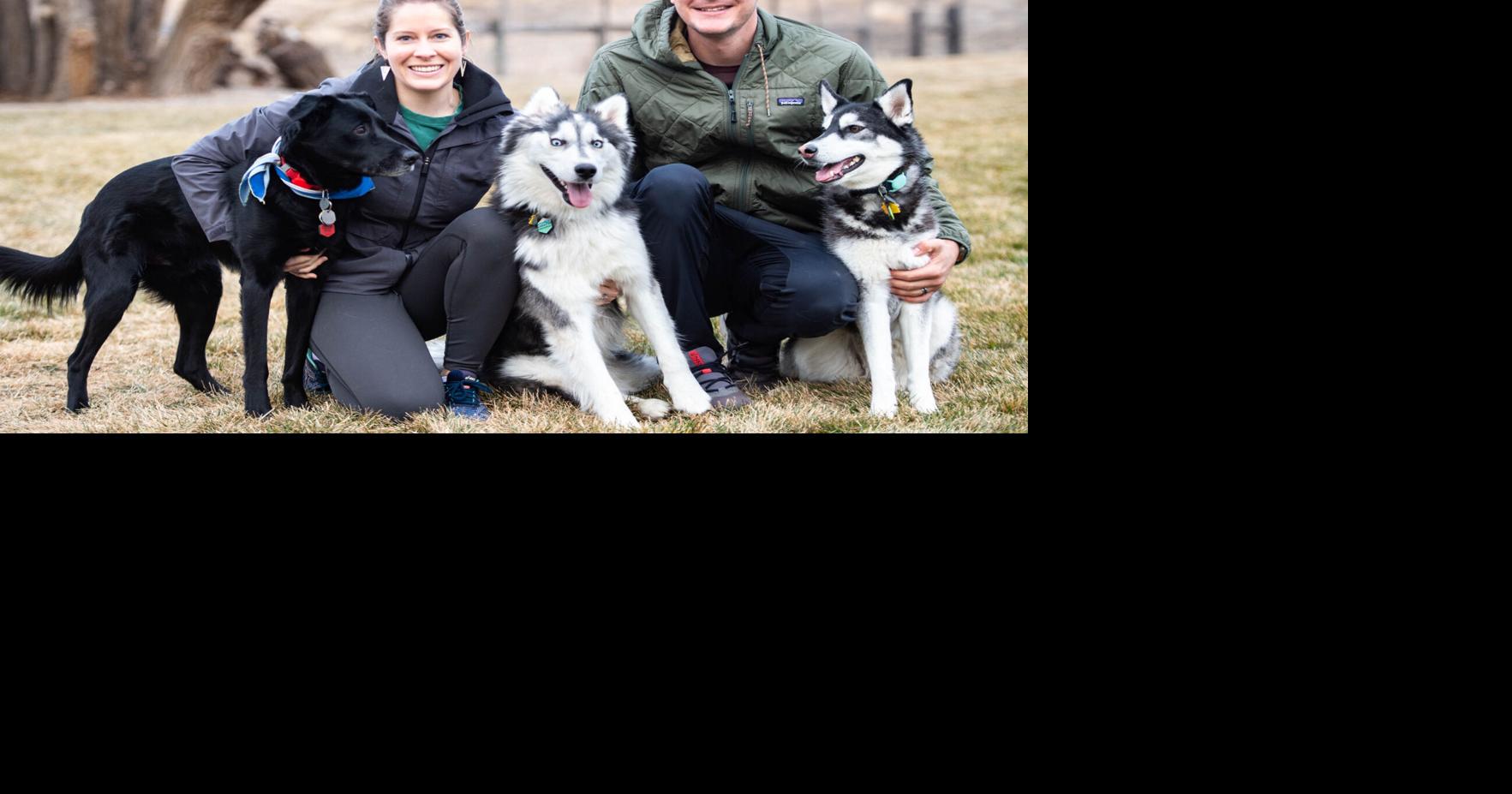 Zeus the dog in forever home for the holidays | Western Colorado