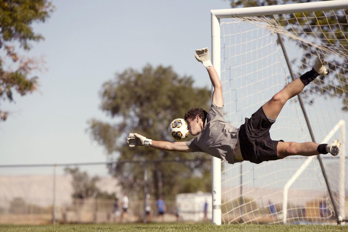 Fruita Goalie Art 01 ML 092519