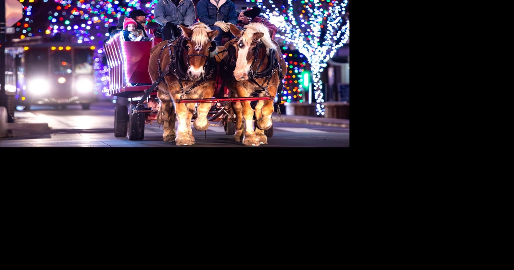 Reining in the holidays: Carriage rides, horses bring cheer to downtown ...