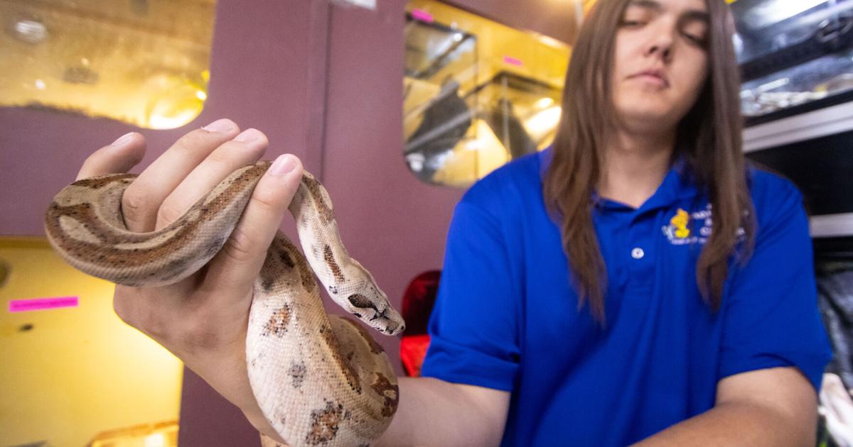 Proposed ordinance would shake up GJ residents’ pet rules