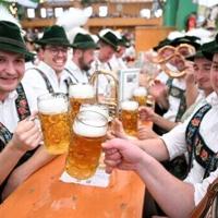 Brewed awakening: German beer sales lowest on record