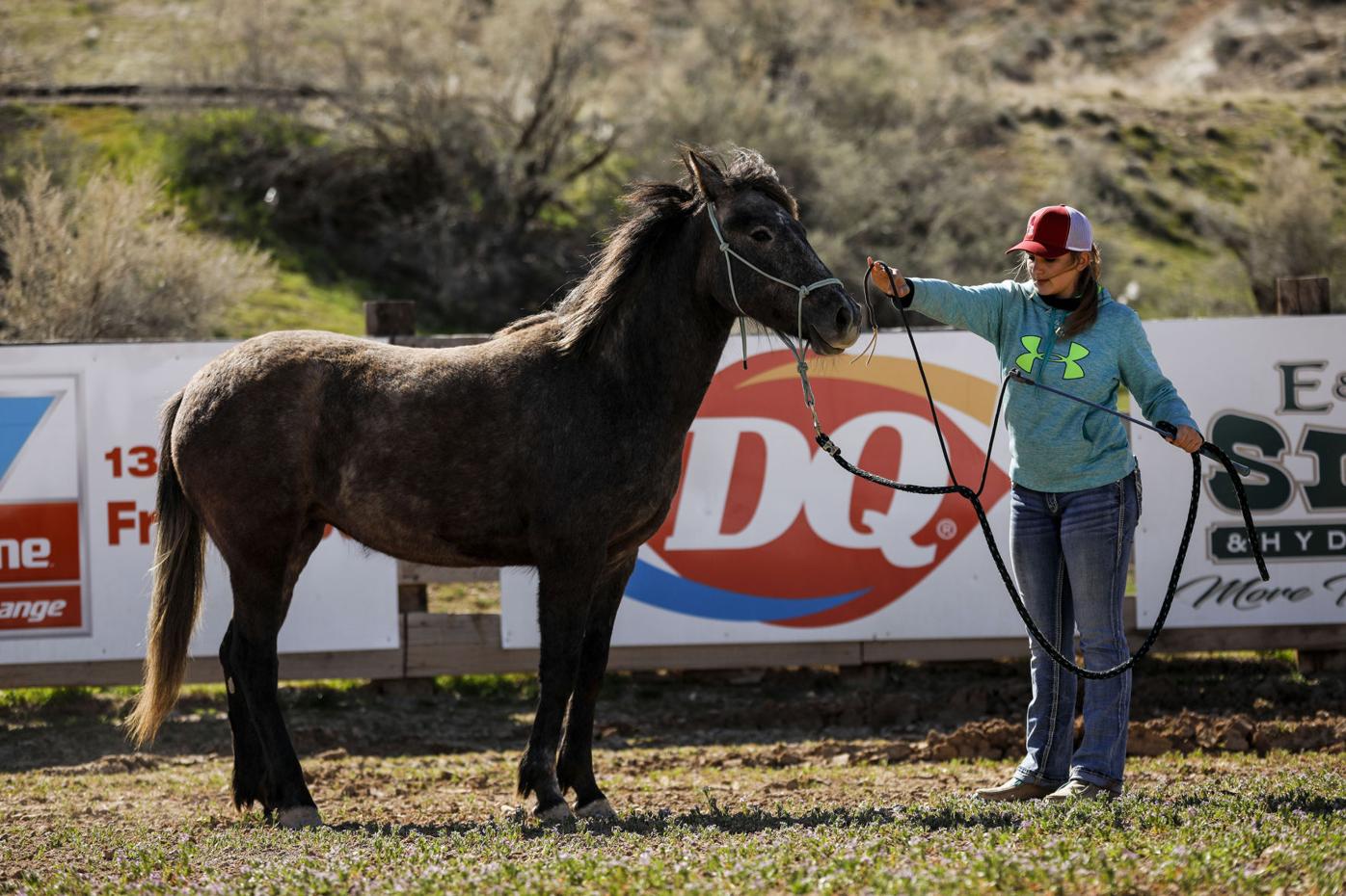 032919 CB HorseAdoption 07.jpg