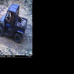 Colorado’s relentless wildlife investigators target poachers