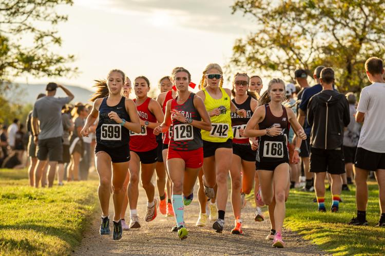 Tiger girls, Warrior boys claim cross country SWL titles | Sports ...