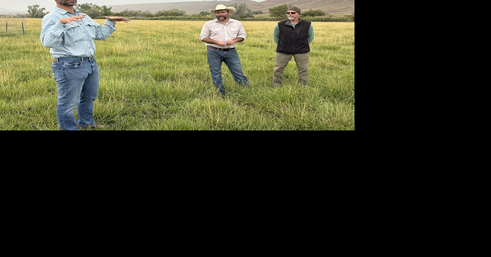 Delta County ranchers want state action on conservation | Western ...