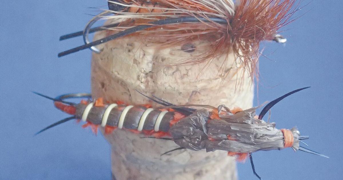 Building Insect Fly Build your own bug: Learning to tie flies makes anglers more effective ...