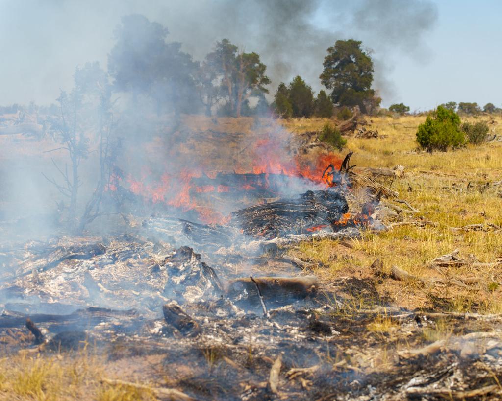Zintel Canyon on fire in Kennewick. Gusting winds fan the 2-alarm blaze -  Yahoo Sports