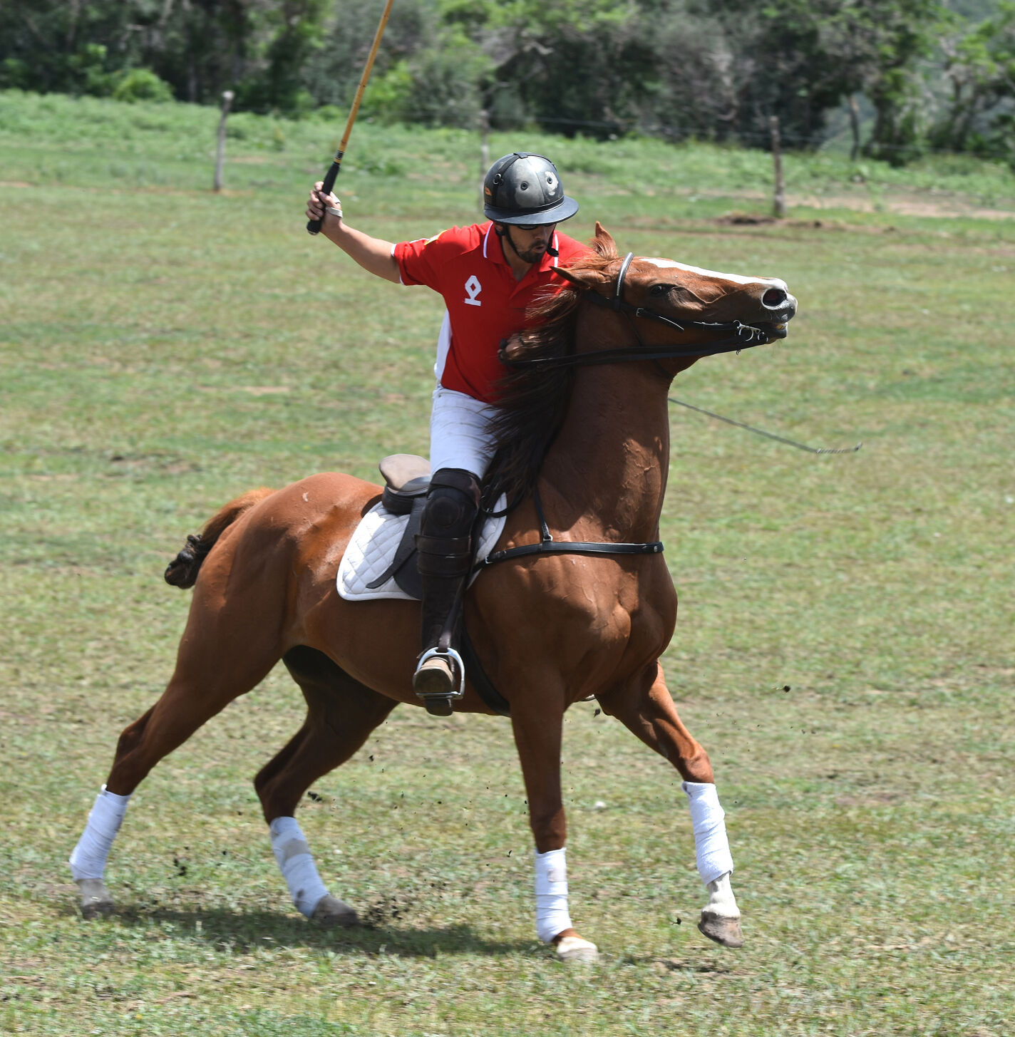 The Game of POLO - Vimarsana News