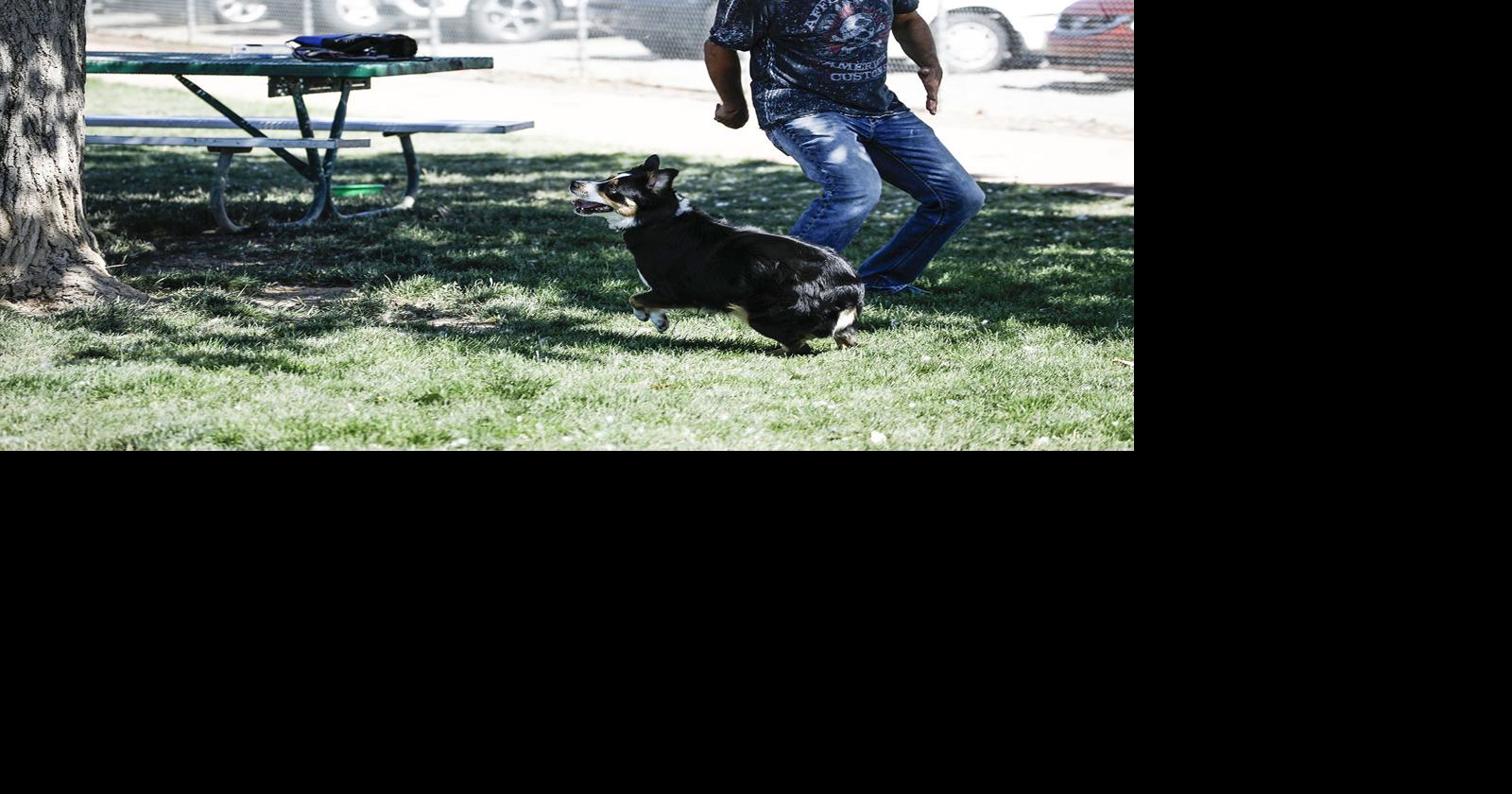 Dog park dangers Western Colorado