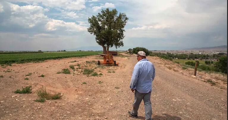 On the Western Slope, many farmworkers live in fear of being arrested