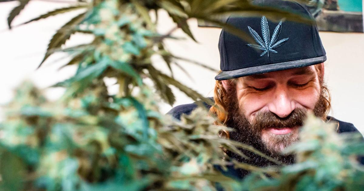 Weed wizard: Cannabis sommelier Jeff Mages works to change the industry