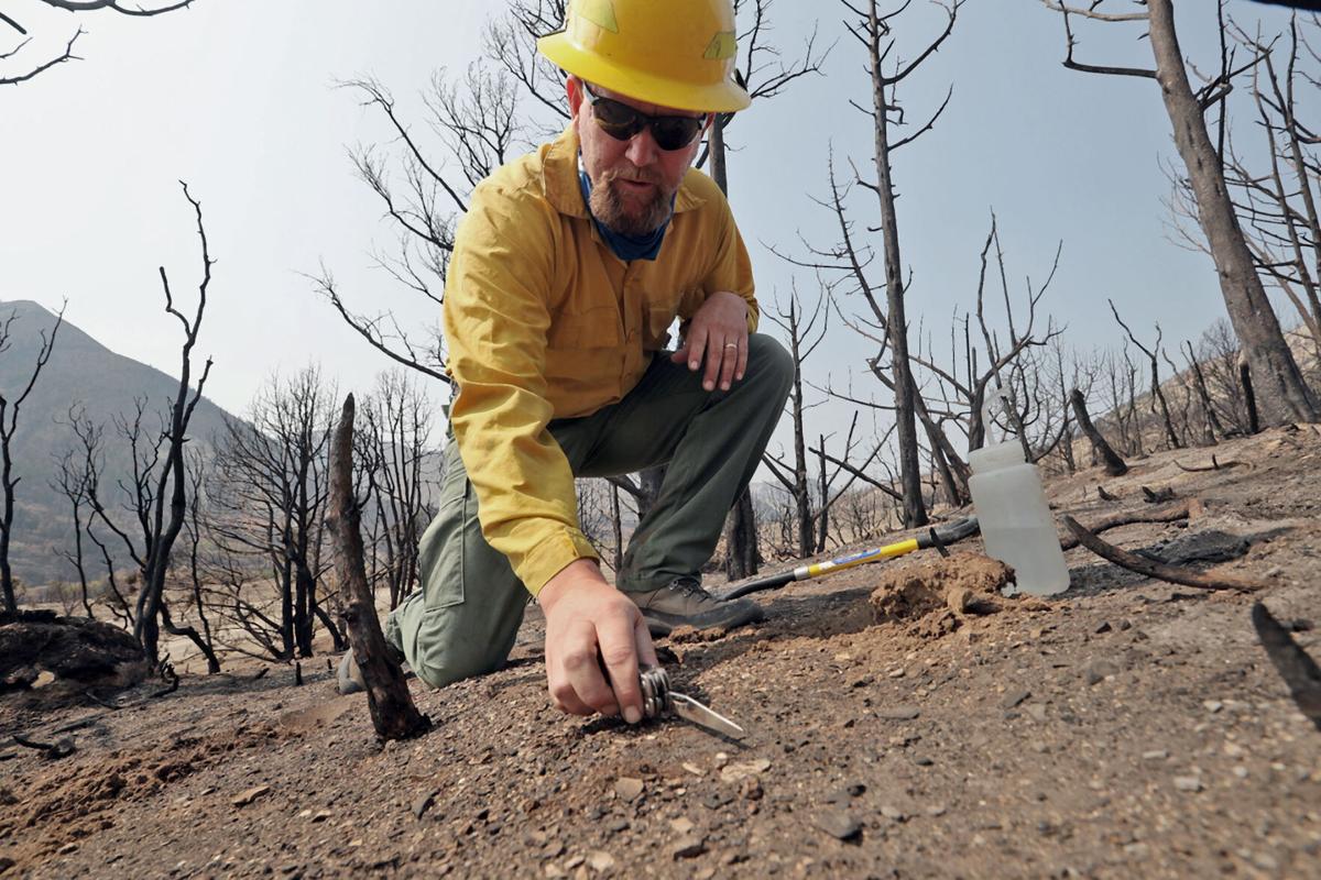 091720-Pine Gulch Restoration 1-CPT