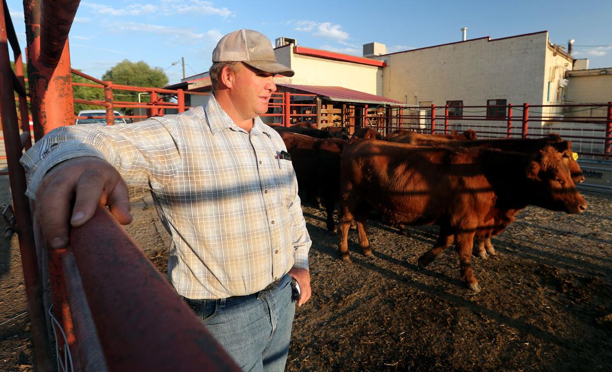Livestock case highlights unheralded law enforcement genre Western
