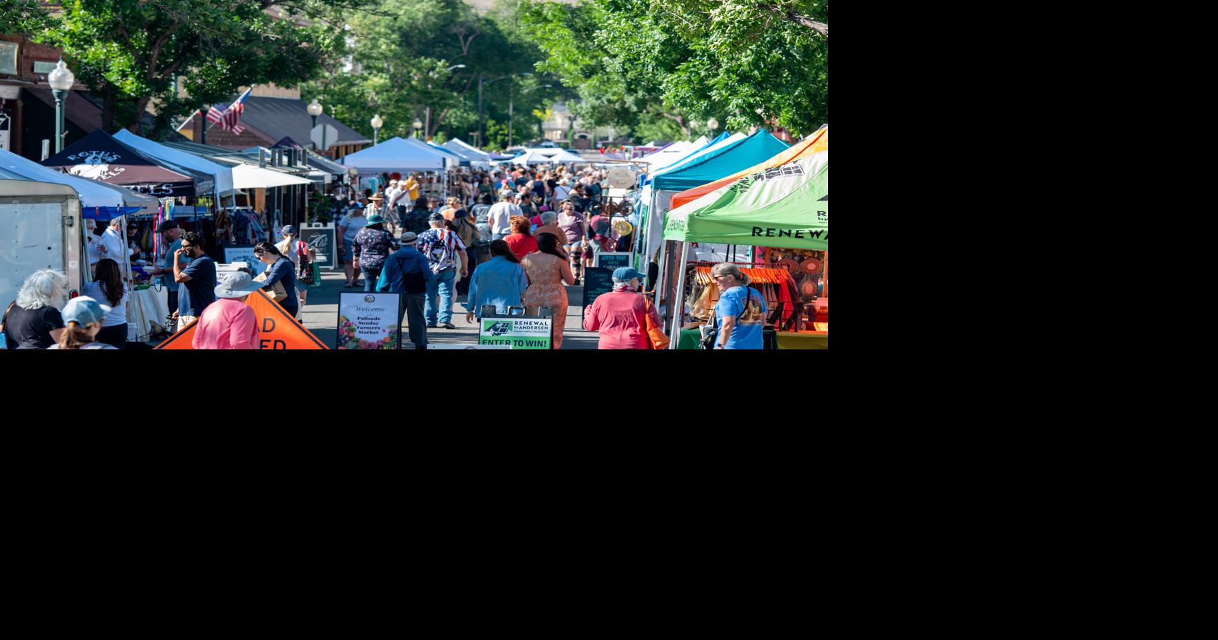 PALISADE ELECTION: Trustee candidate Q&As