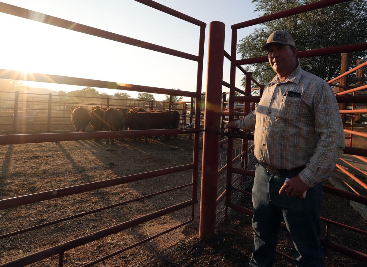 Livestock case highlights unheralded law enforcement genre Western