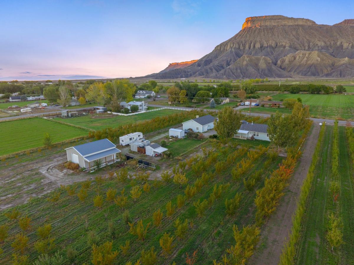 Palisade property presents opportunity to farm Real Estate