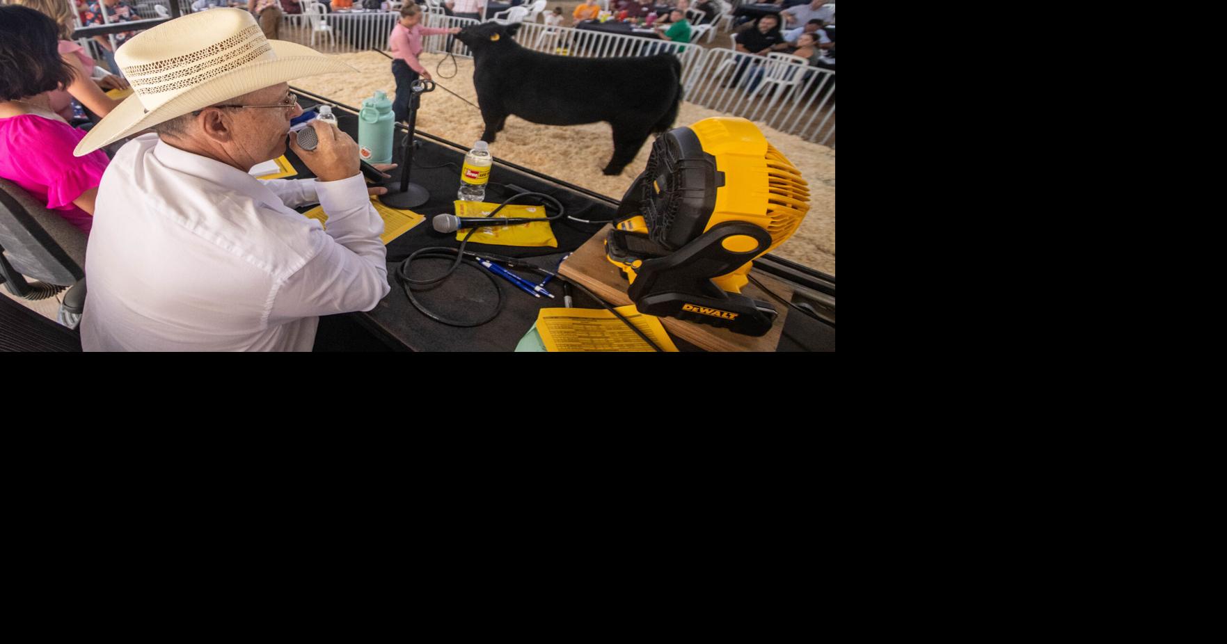 Once again, Mesa County Fair auction brought in record cash