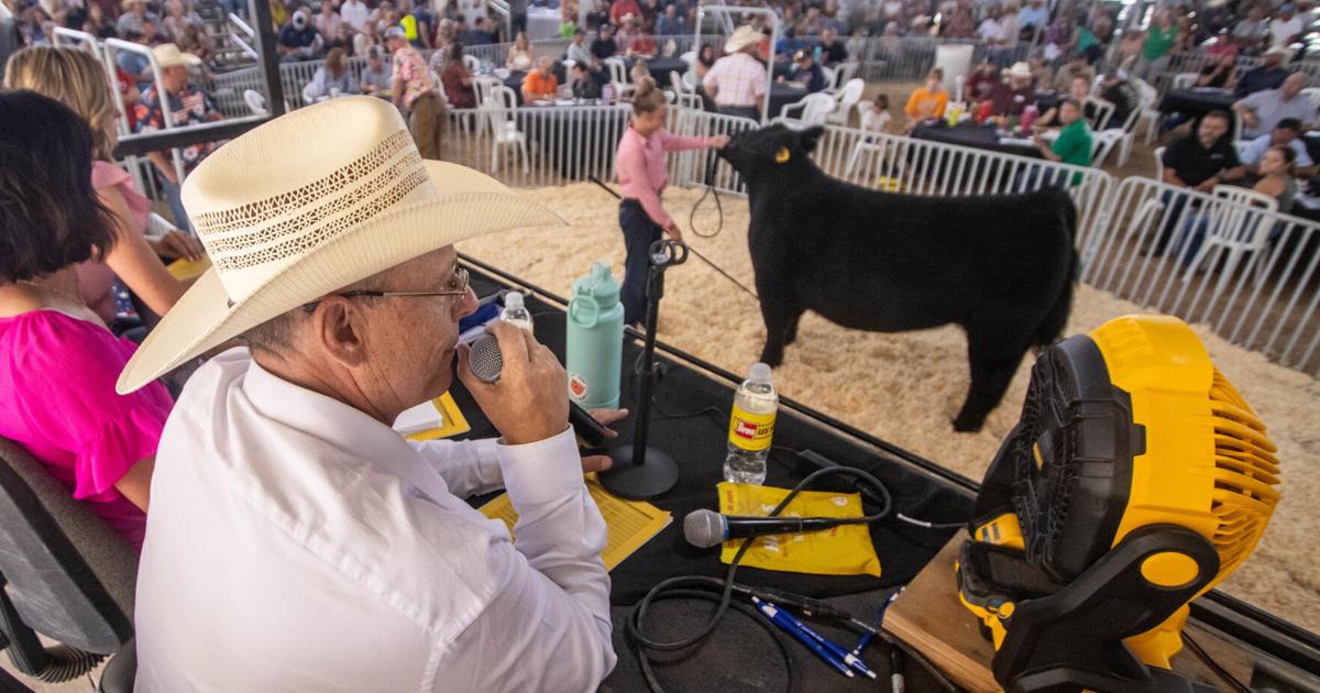 Once again, Mesa County Fair auction brought in record cash