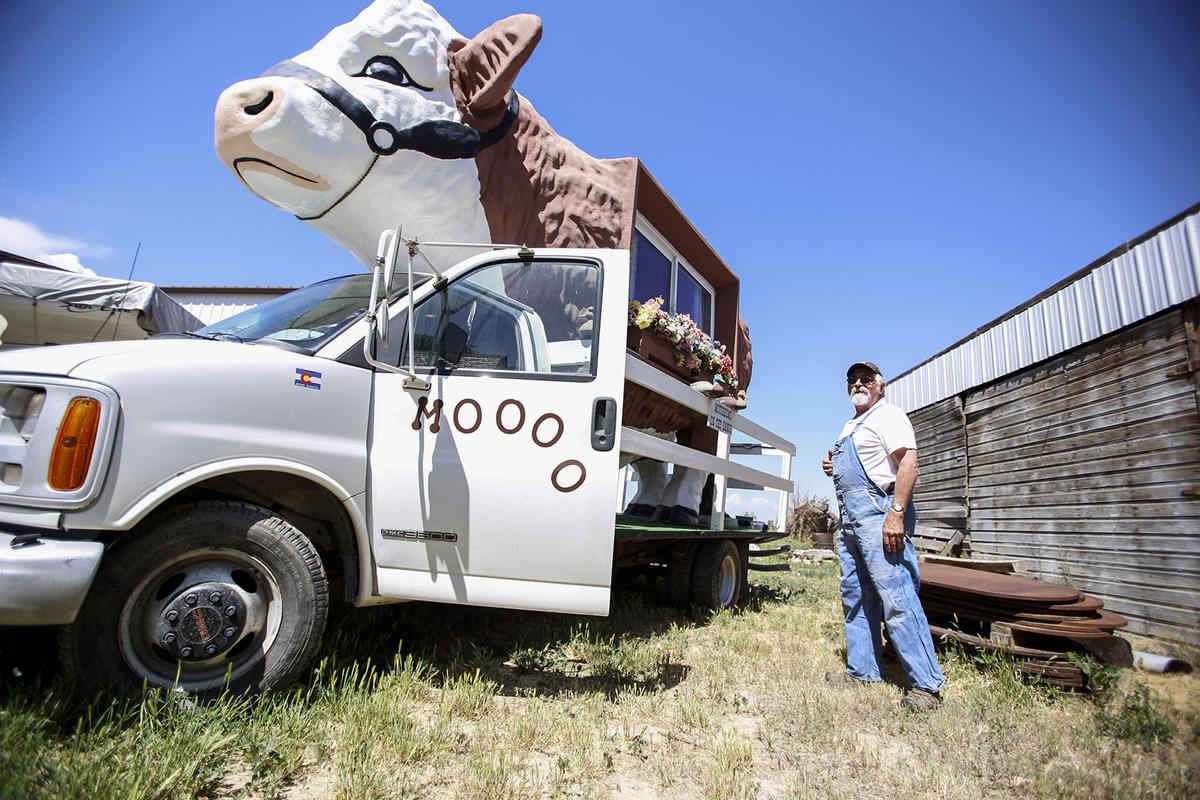 Cow Camper Is Hoofing It Western Colorado Gjsentinel Com