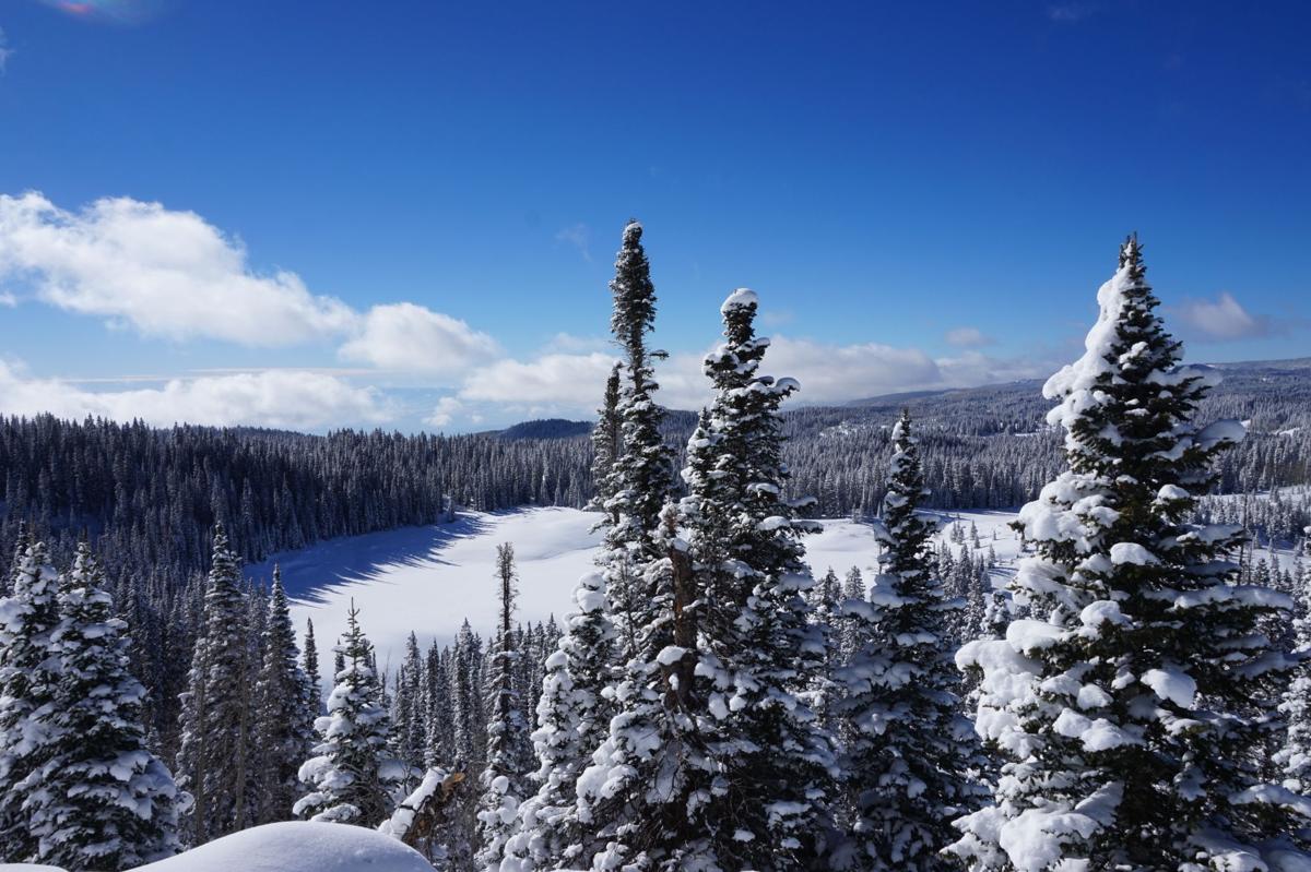 Winter on Grand Mesa