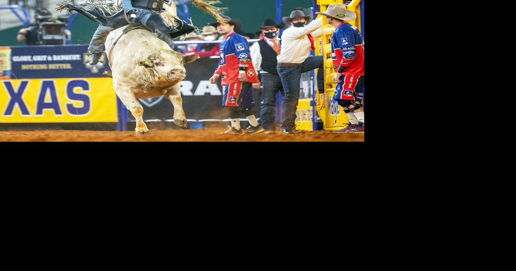 'Just doing my job'; Rifle bull rider living the dream | Western ...