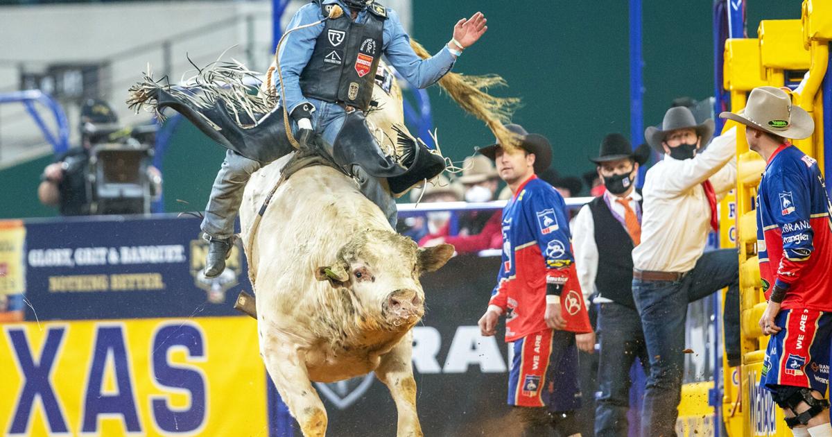 Bull Rider Shoot 'Just doing my job'; Rifle bull rider living the dream | Western ...