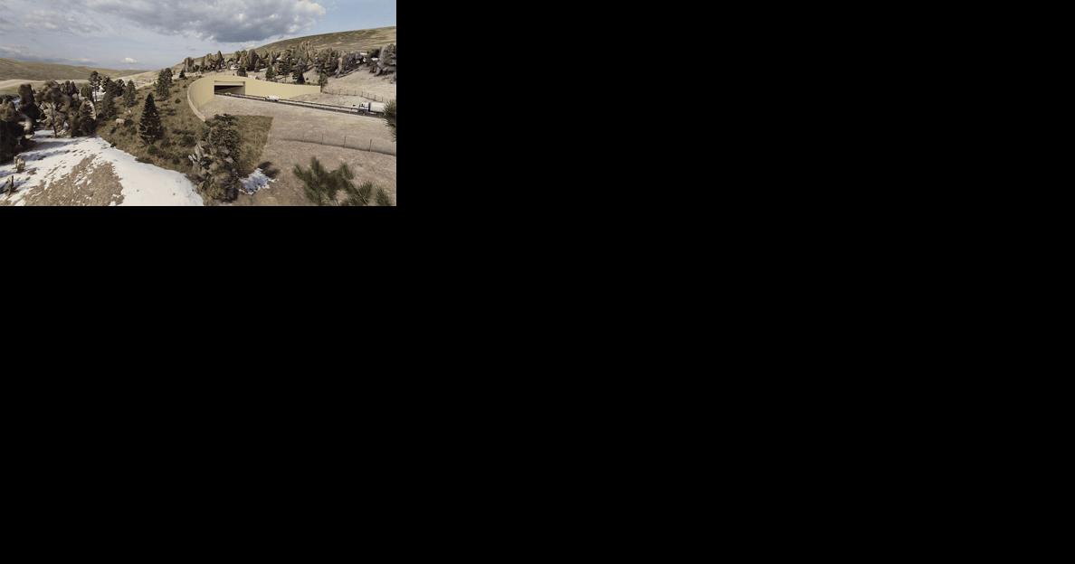 Wildlife crossings on I-70 over Vail Pass? - Vimarsana News