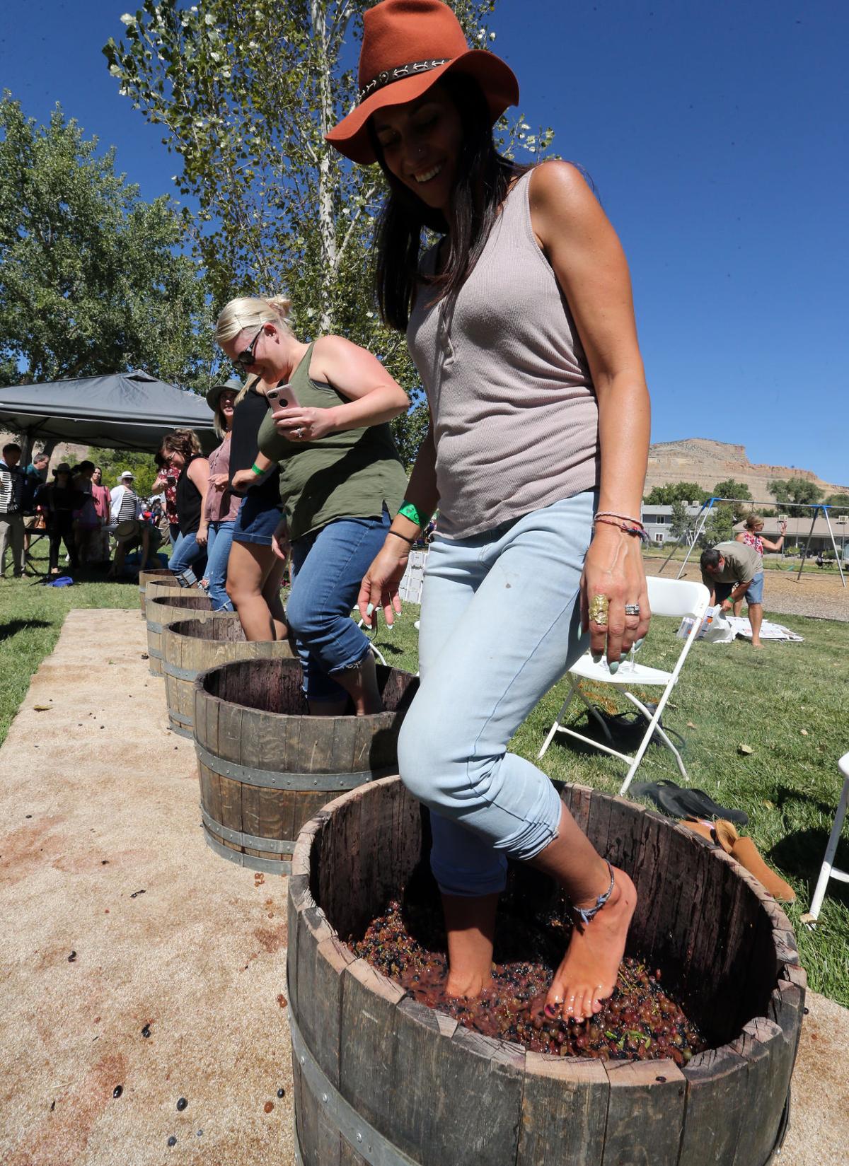 Colorado Mountain Winefest canceled Western Colorado