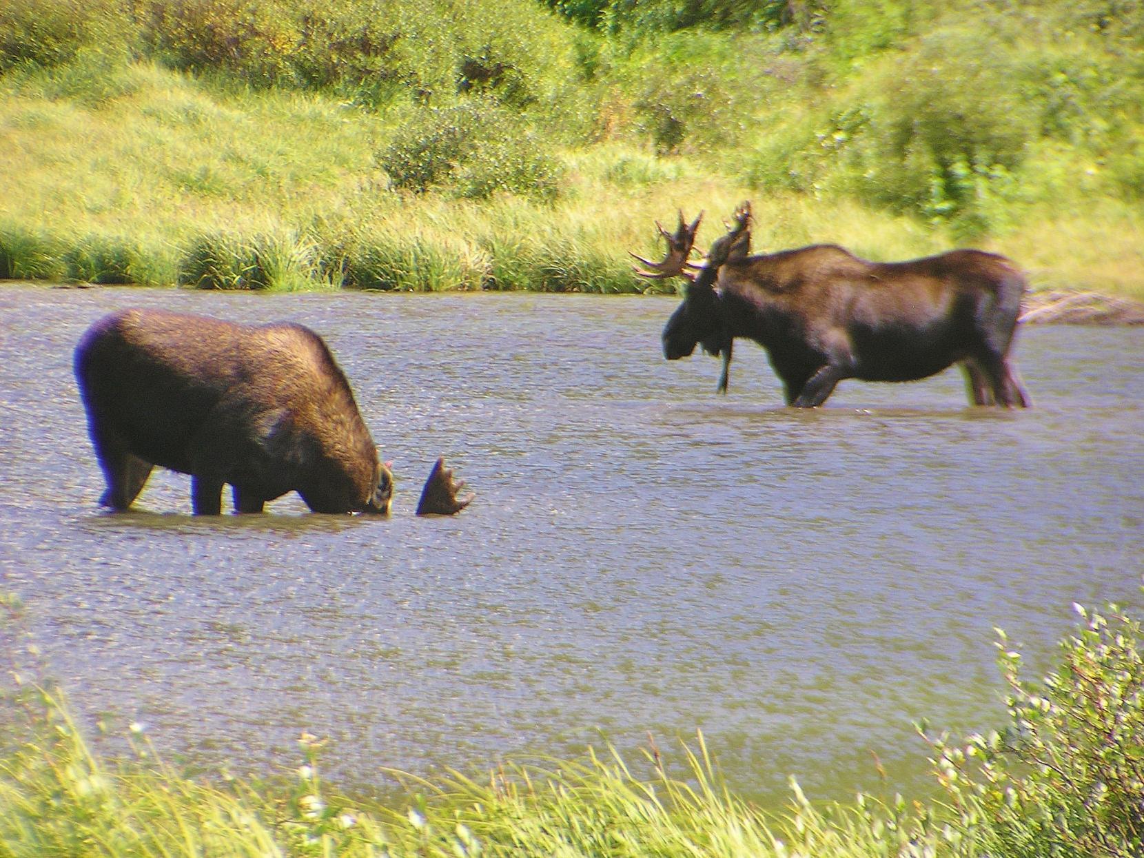 Another High Country Gem Fishing Gjsentinel Com
