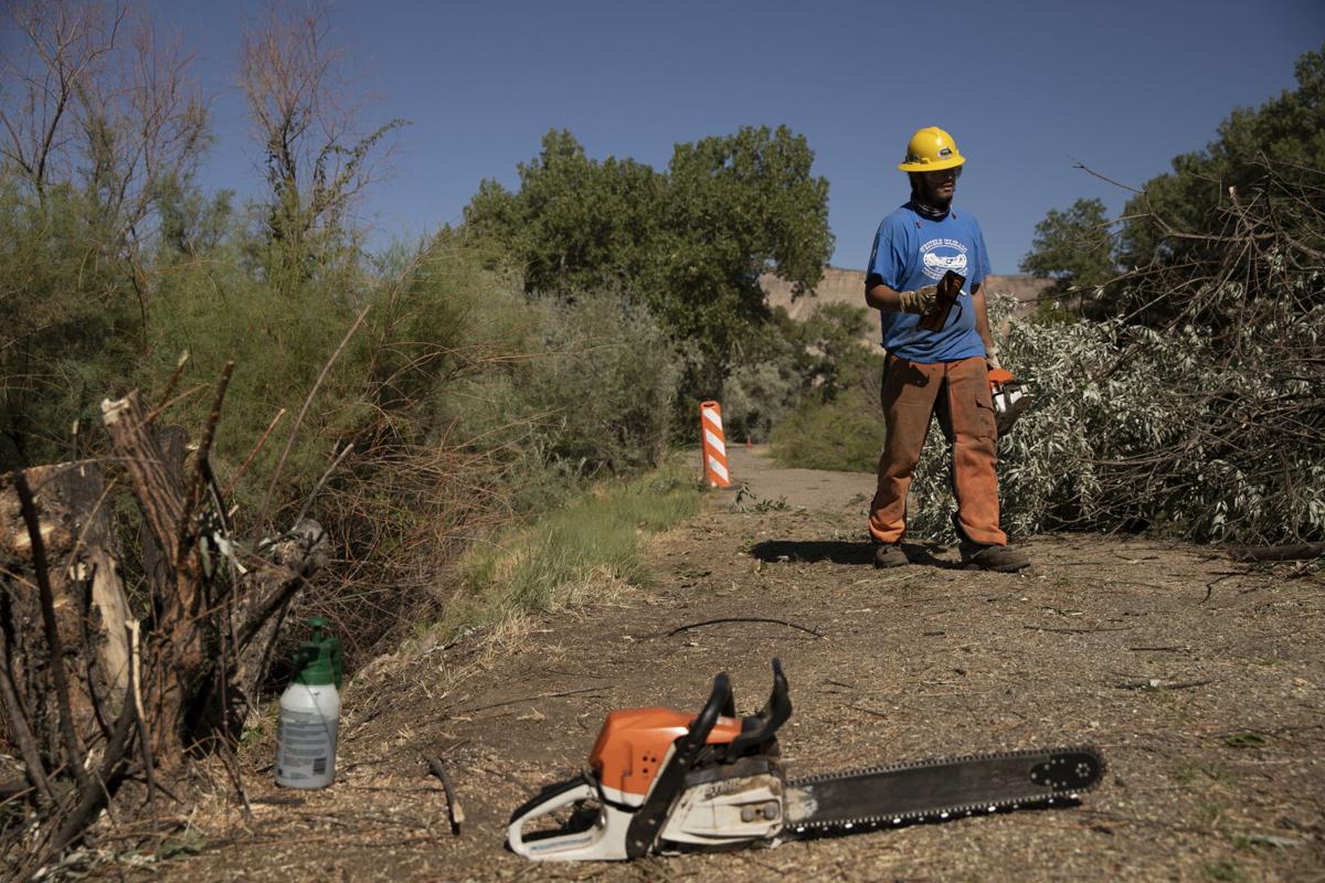 072720-news-riverbendtreeremoval05-ml