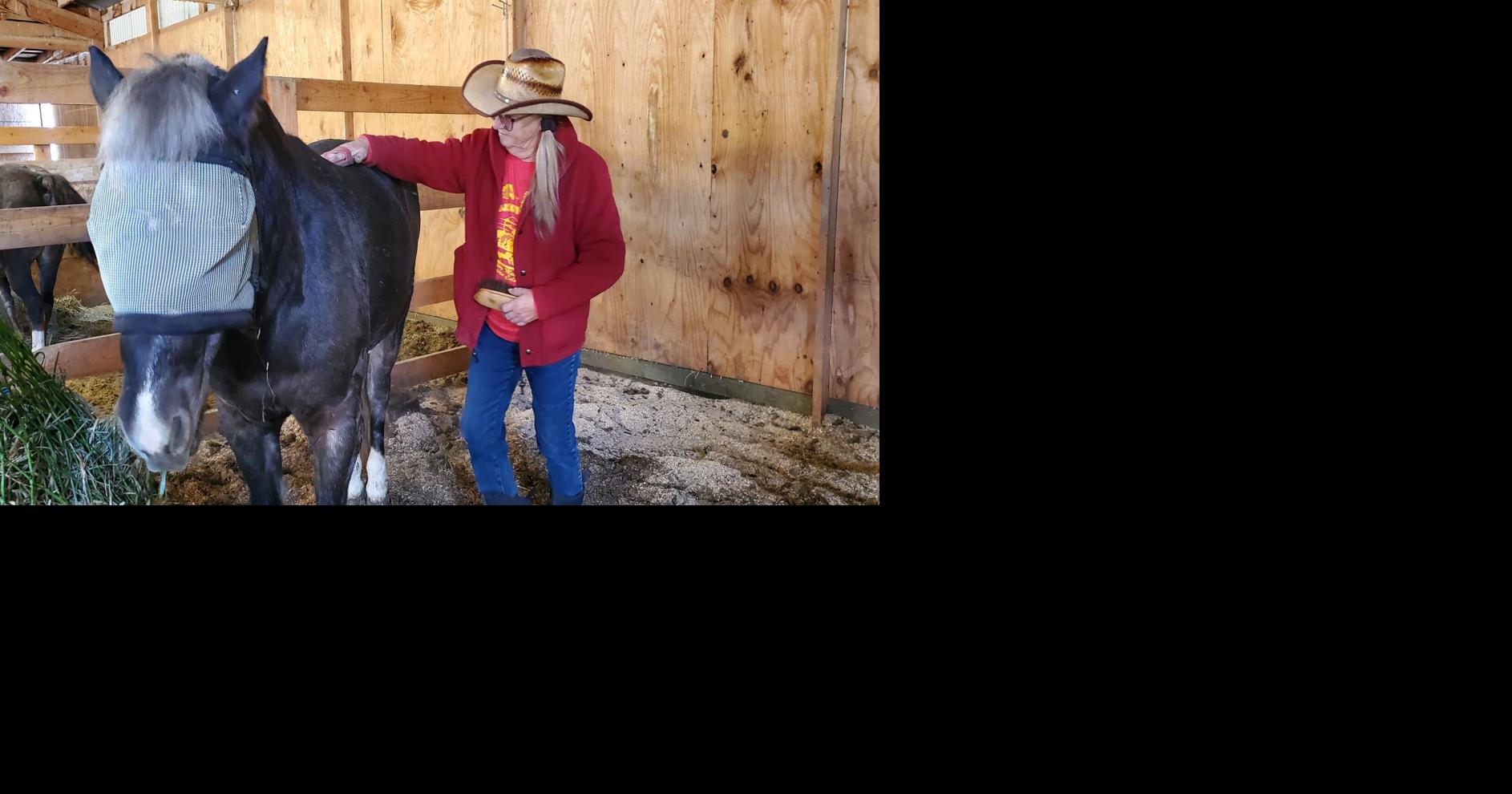 Saved by donations, horse rescue to remain open