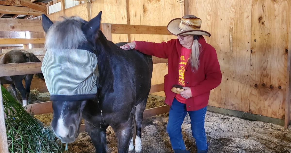 Saved by donations, horse rescue to remain open