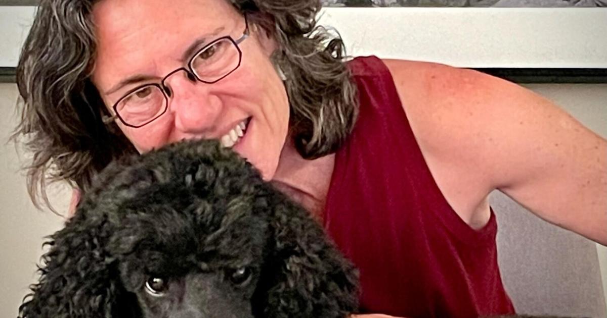 Der Tod eines Hundes in einer örtlichen Hundetagesstätte veranlasst eine Untersuchung, Zitat | West-Colorado Der Tod eines Hundes in einer örtlichen Hundetagesstätte veranlasst eine Untersuchung, Zitat | West-Colorado