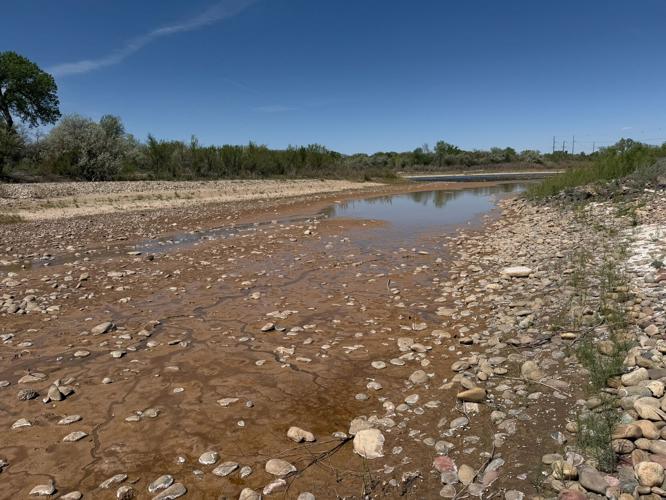 Luke Runyon Fish out of water: Historic drought leaves little water for endangered ...