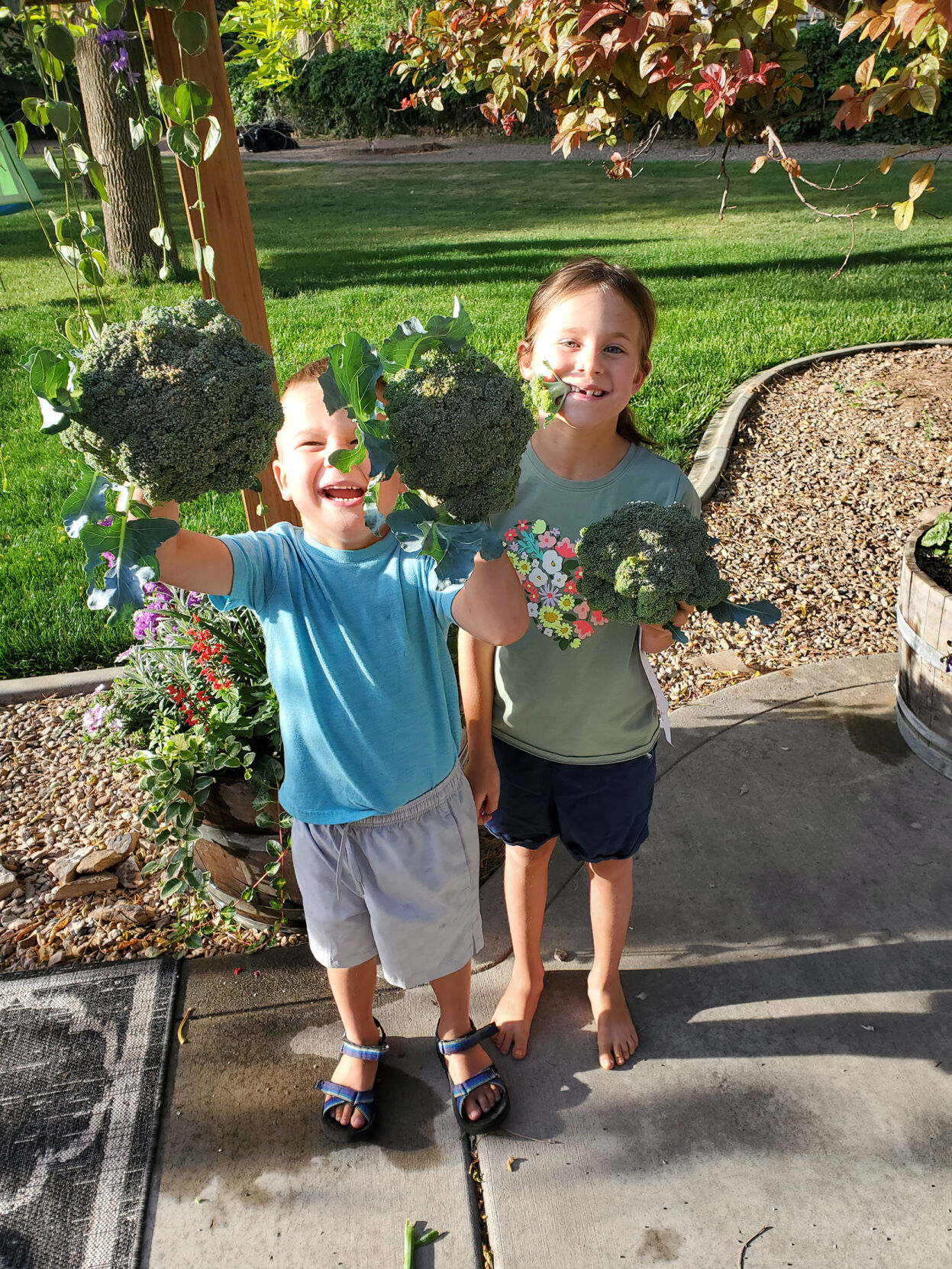 2020 was the year of … the gardening craze, with veggies, flowers and more - Vimarsana News