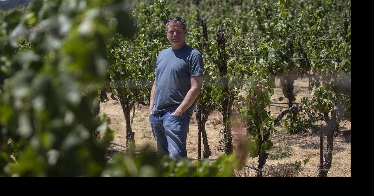 Some California winemakers don’t want tariffs on their European competitors. Here’s why
