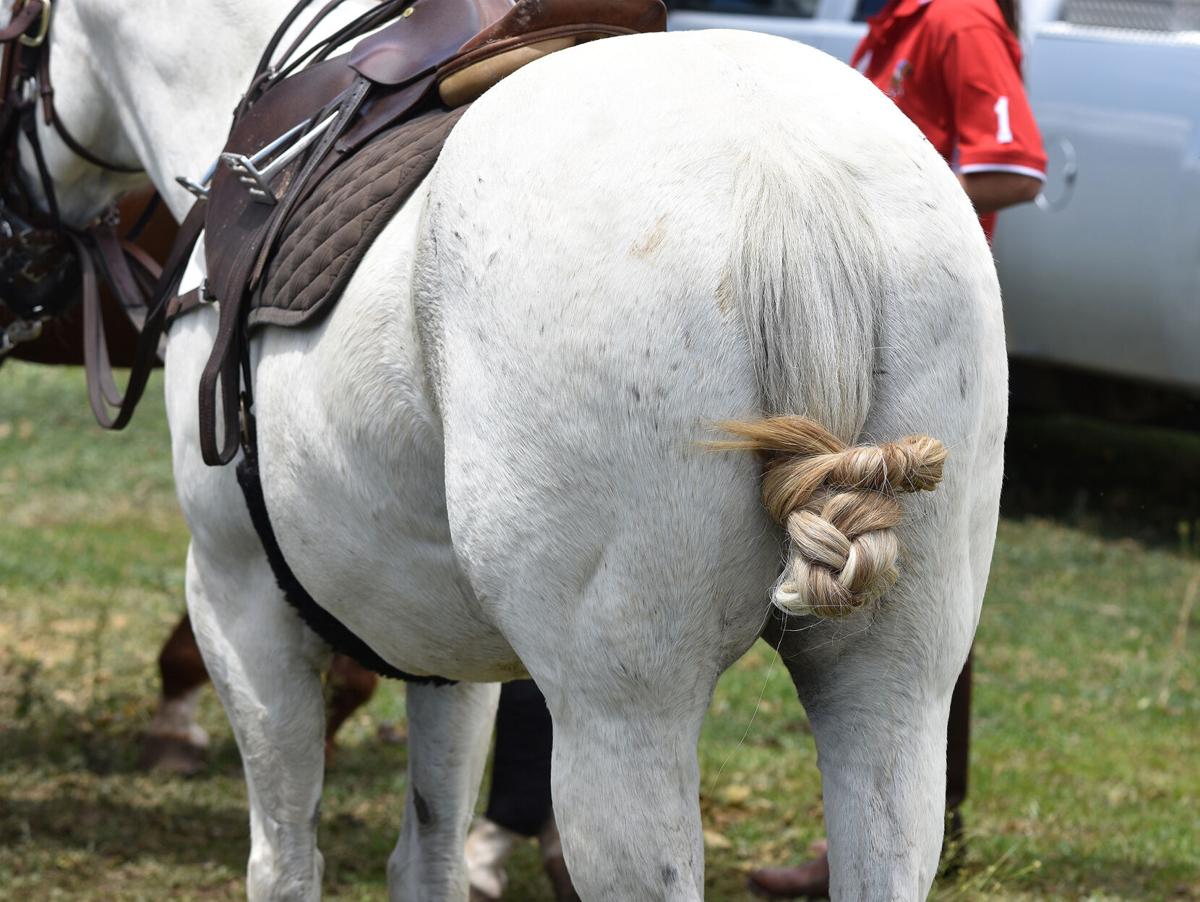 The Game of POLO Lifestyle