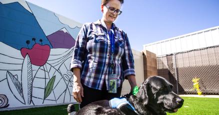 Victim Services Image