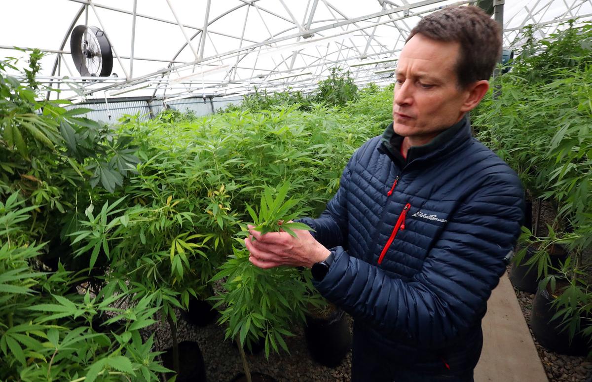 Hemp producer to transform Grand Junction Steel building into