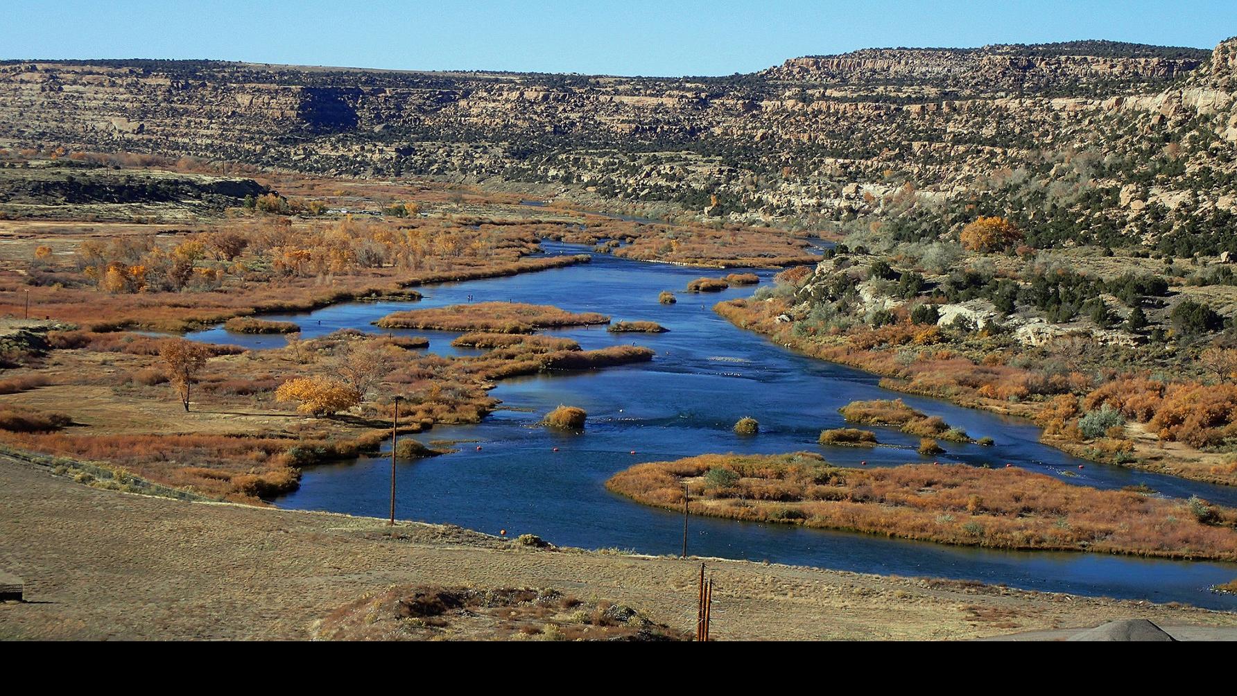 Don T Think Just Fish Fishing Gjsentinel Com