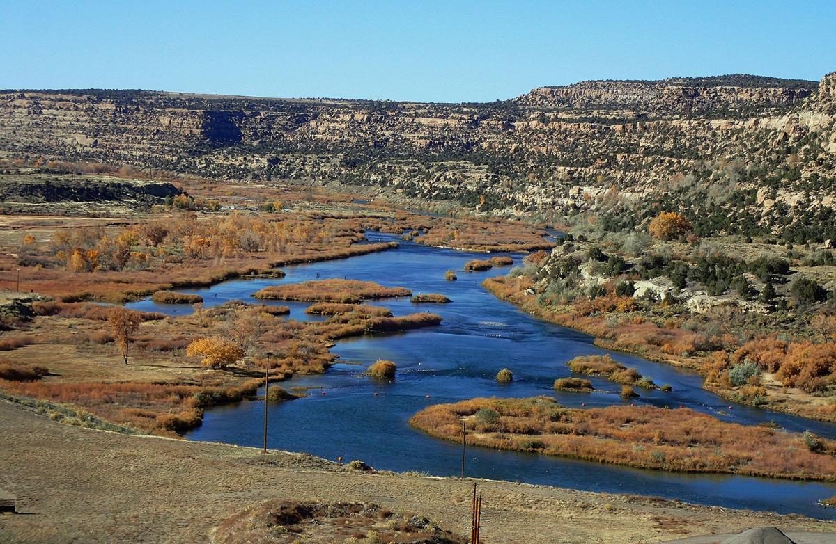 Don T Think Just Fish Fishing Gjsentinel Com