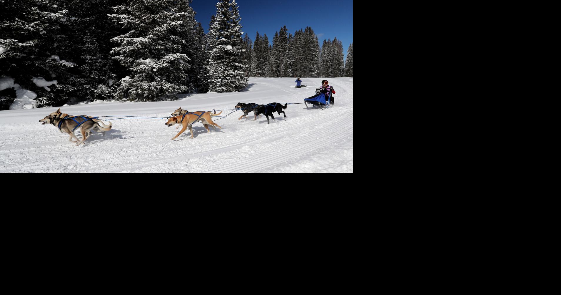 Entertainment Calendar: Jan. 20–27