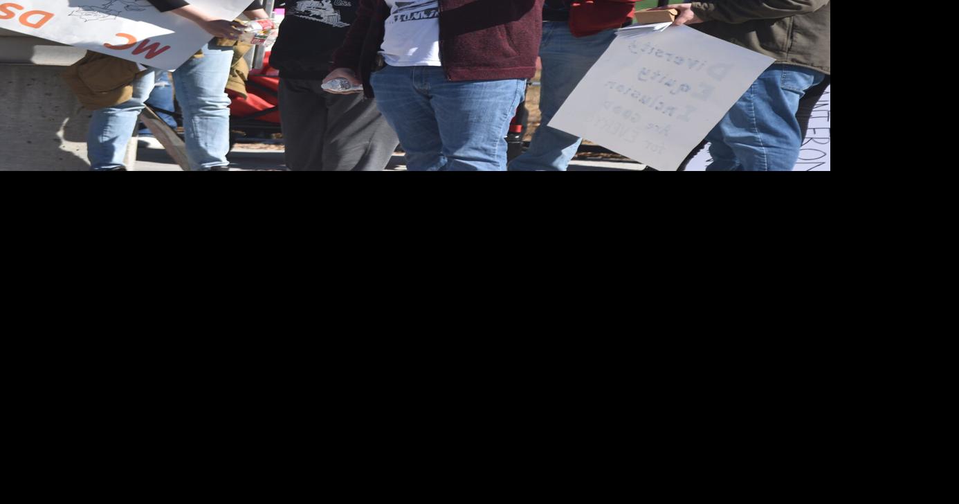 Hundreds of Democrats rally against Trump, Musk, Hurd