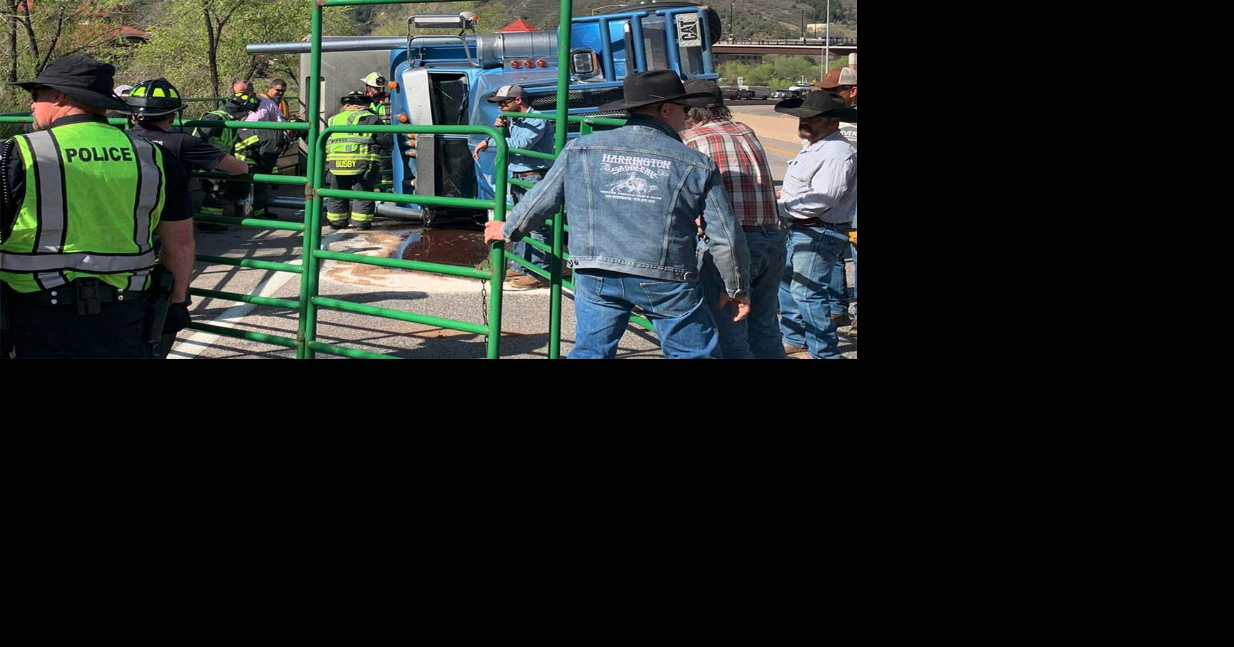 106 of 107 cattle, driver in I-70 wreck survive | Western Colorado ...