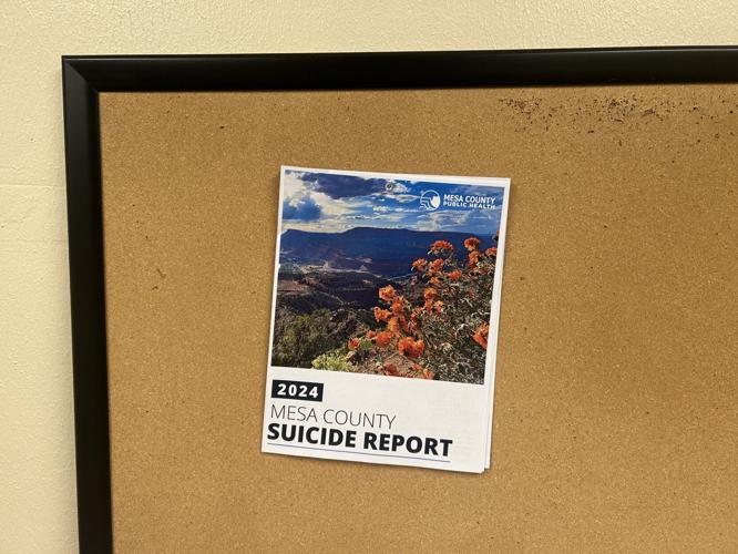 Are local suicide prevention efforts having a positive countywide