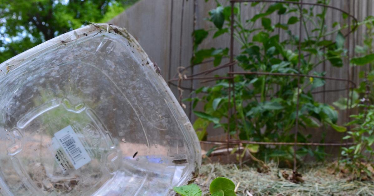 Makeshift contraptions can protect your plants from scorching sun ...