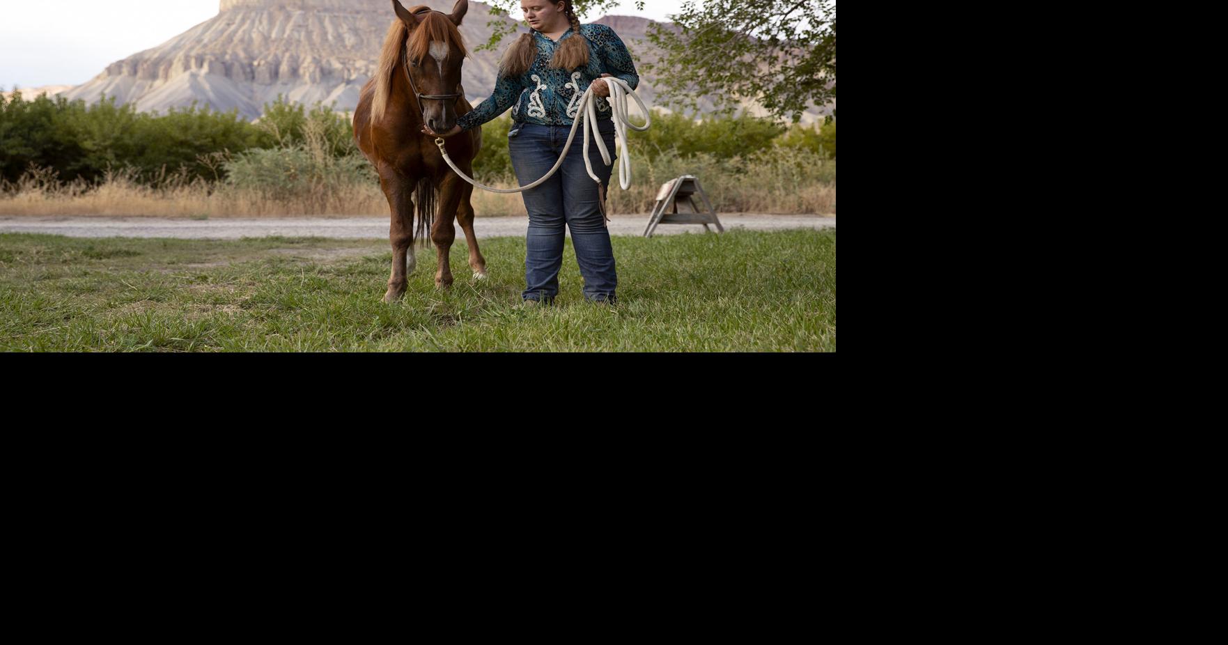 Wild mustang makeover: How a horse and rider built a bond in 100 days ...