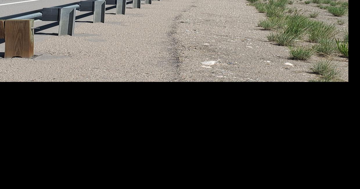 Wildlife crossing bill relying on voluntary fees awaits Polis action